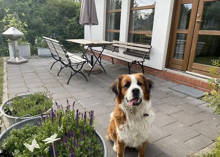 Am Σπίτι διακοπών